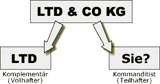 Schematische Darstellung der Ltd & Co KG